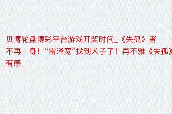 贝博轮盘博彩平台游戏开奖时间_《失孤》者不再一身！“雷泽宽”找到犬子了！再不雅《失孤》有感